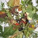 IMG_5347